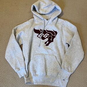 University of Ottawa Graphic Hoodie Sweatshirt Grey Small Unisex